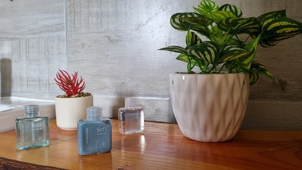 Bathroom vanity with potted plant, succulent and bath products