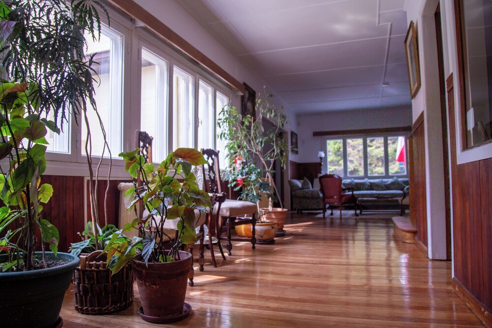 Amplio pasillo con piso de madera, ventanales y plantas en macetas