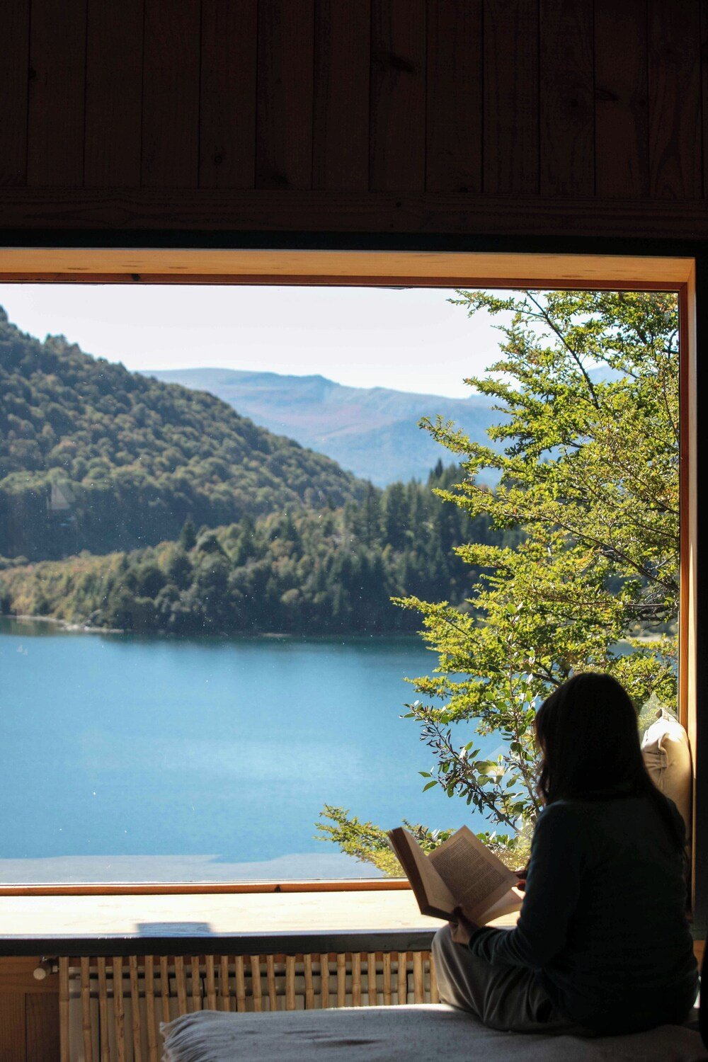Guest reading by a window in a warm timber interior