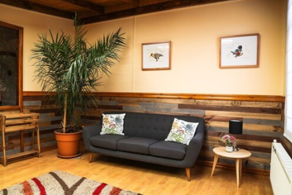 Cozy lounge with a dark sofa and a potted plant