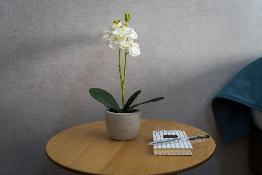 Round wooden table with a potted plant at Kran Kreen