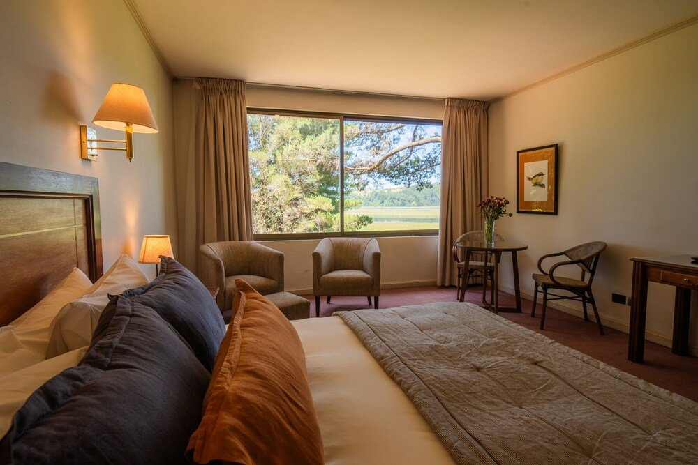 Hotel room with large bed, two armchairs and view of trees