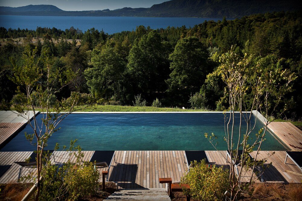 Garden view at Lake Lodge with lawn and surrounding trees
